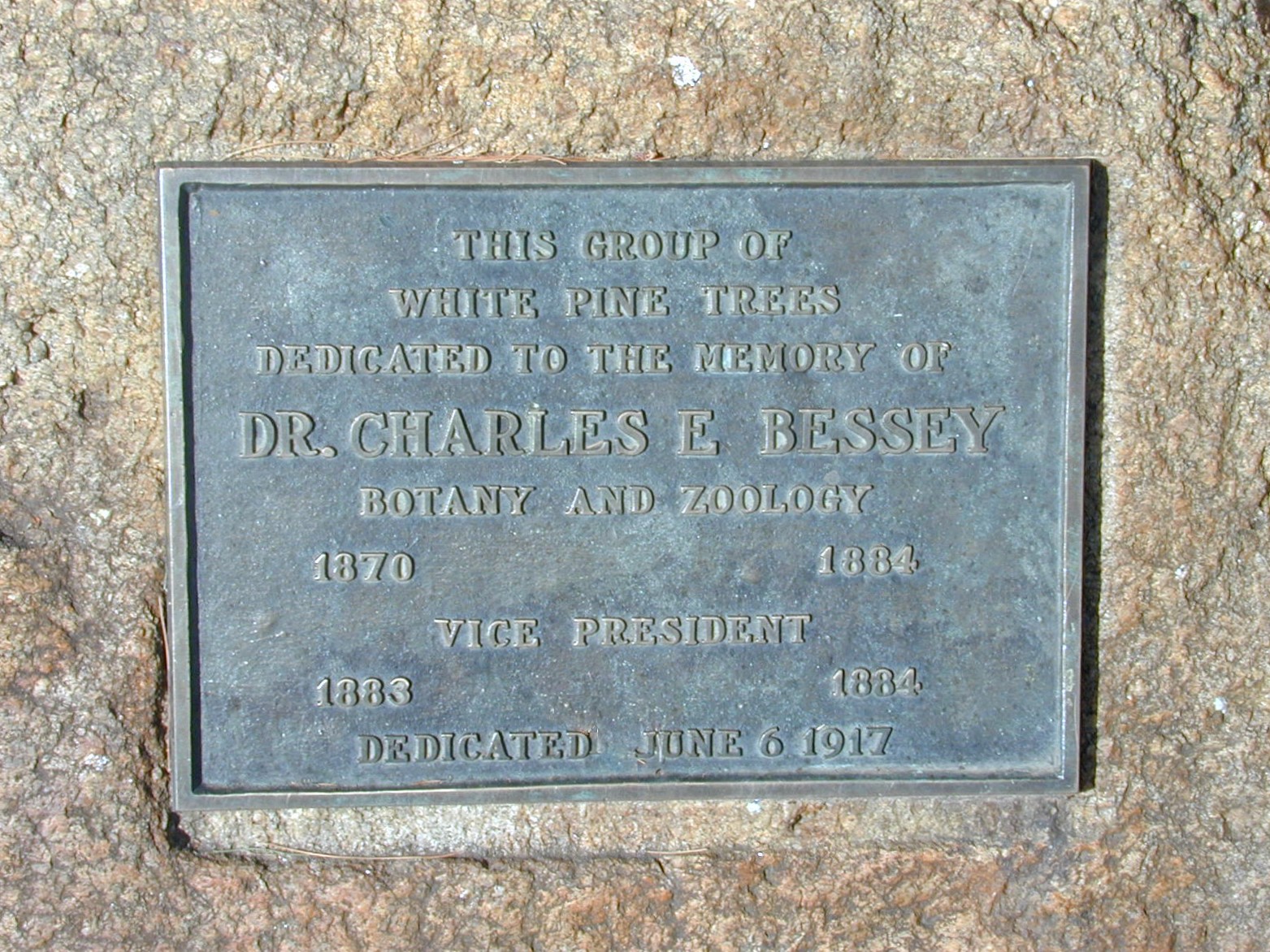 closeup photo